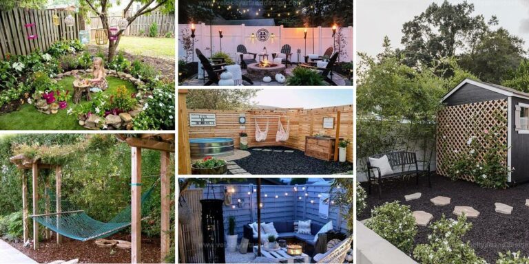 Best Backyard Oasis Designs