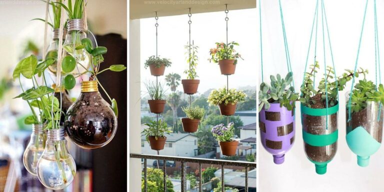 Best Hanging Garden Ideas