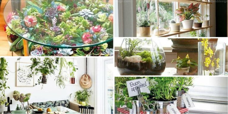 Best Ways to Grow Plants in Small Rooms