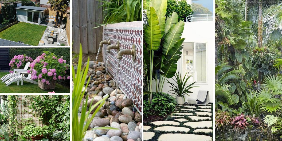 Top Backyard Transformation Ideas