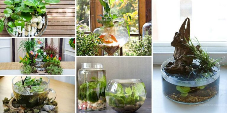 Best DIY Water Features for Desktops