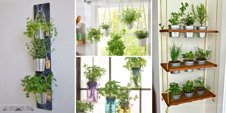 Best Ways To Start A Hanging Herb Garden