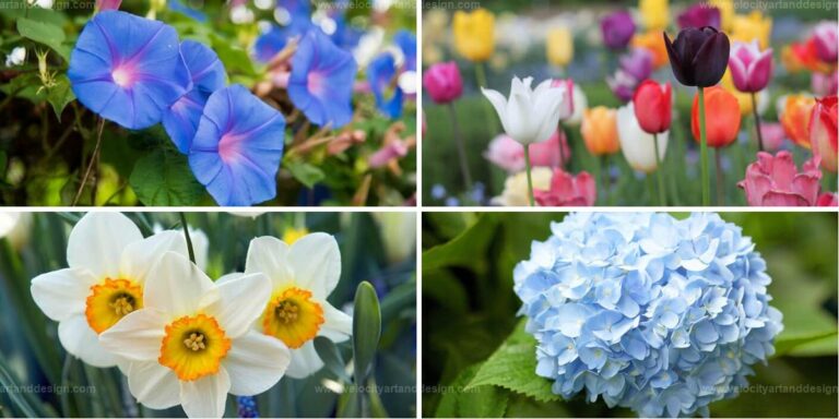 Best Flowers to Avoid for Pet Safety