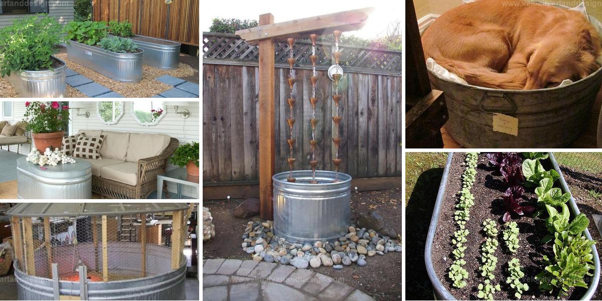 Best Stock Tank Backyard Ideas