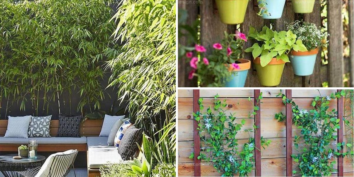 Unique Vertical Garden Ideas