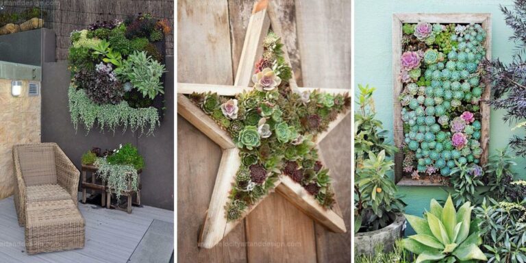 Top Outdoor Succulent Wall Garden Ideas