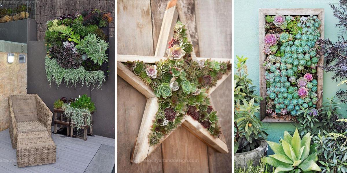 Top Outdoor Succulent Wall Garden Ideas