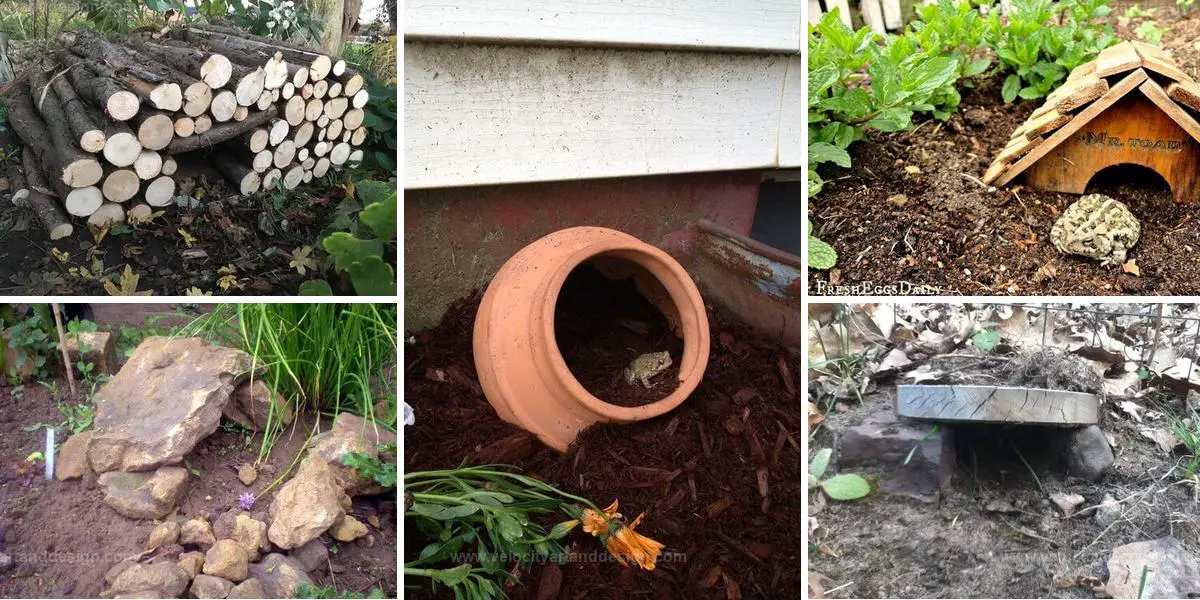 Best DIY Toad Houses