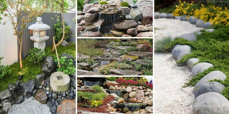 Best Rock Garden Summer Projects