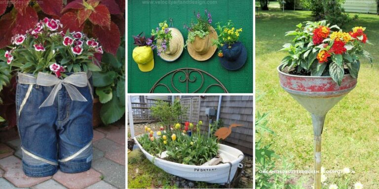 Best Planter Ideas