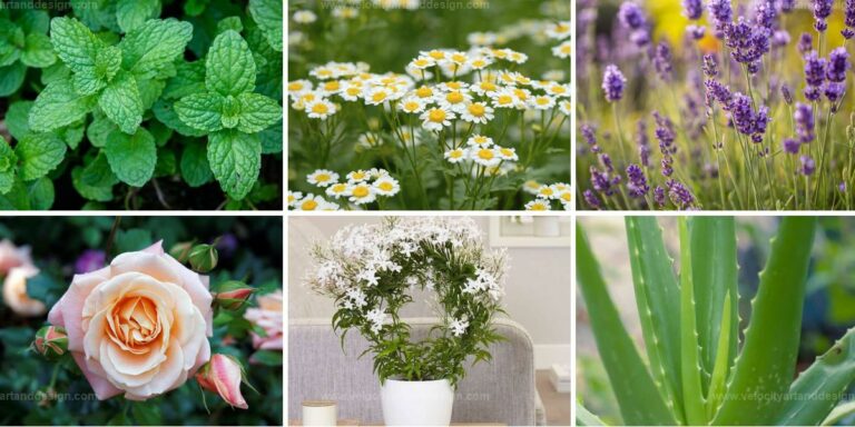 Best Soothing Plants for a Calming Bath