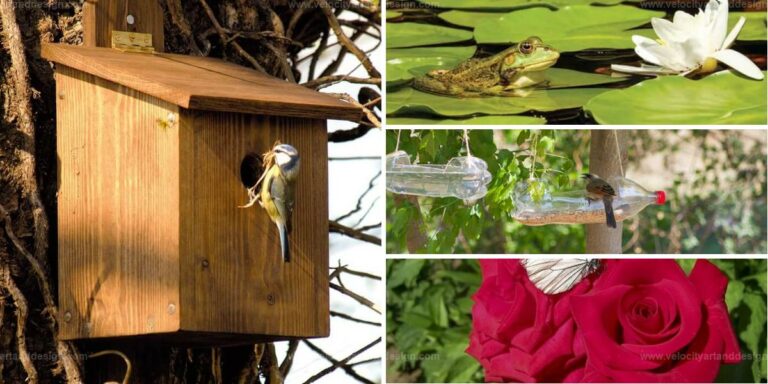 Best Ways to Make Your Garden a Wildlife Haven