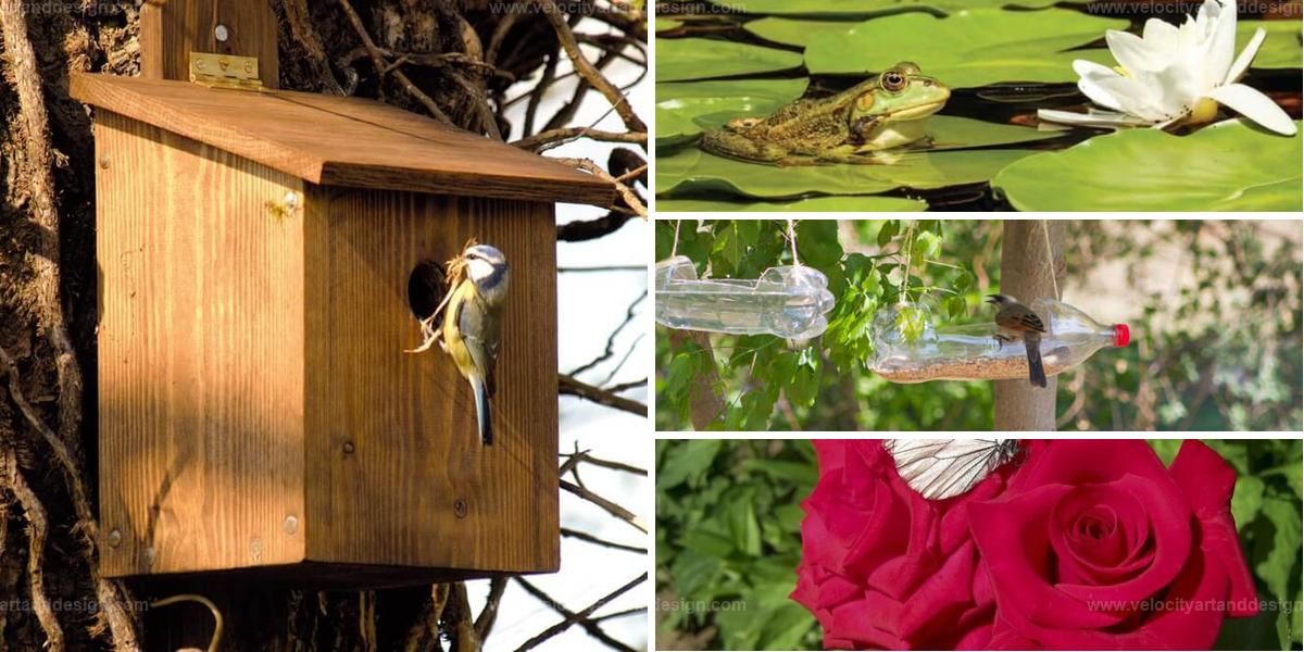 Best Ways to Make Your Garden a Wildlife Haven