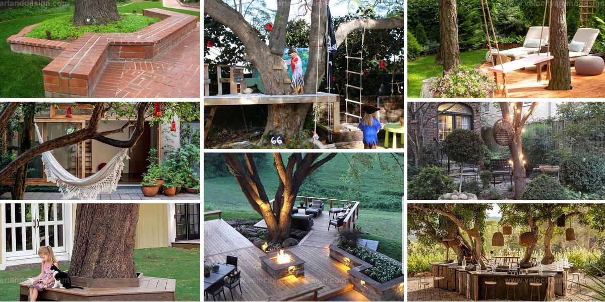 Best Tree Landscaping Ideas