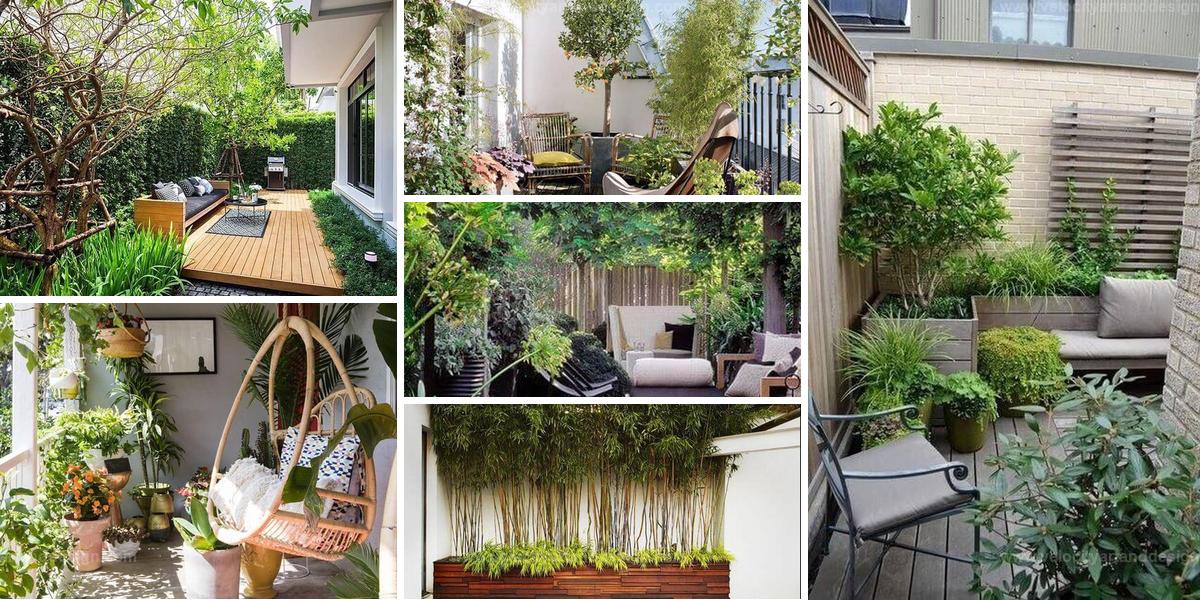 Best Urban Garden Ideas