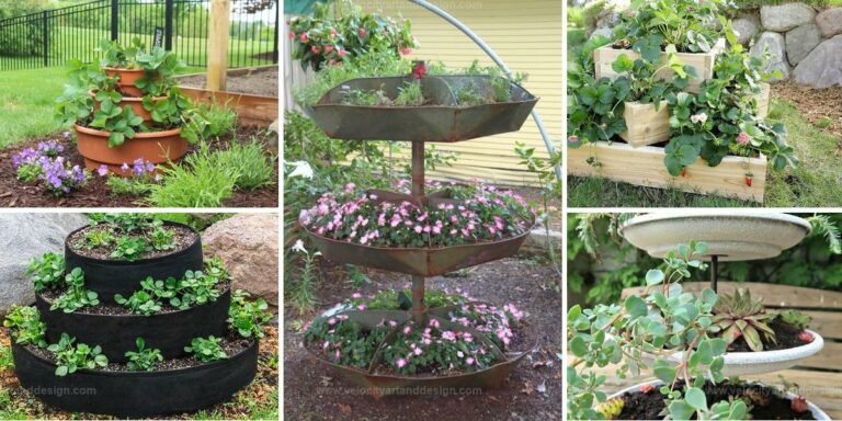 Top DIY Tiered Planters