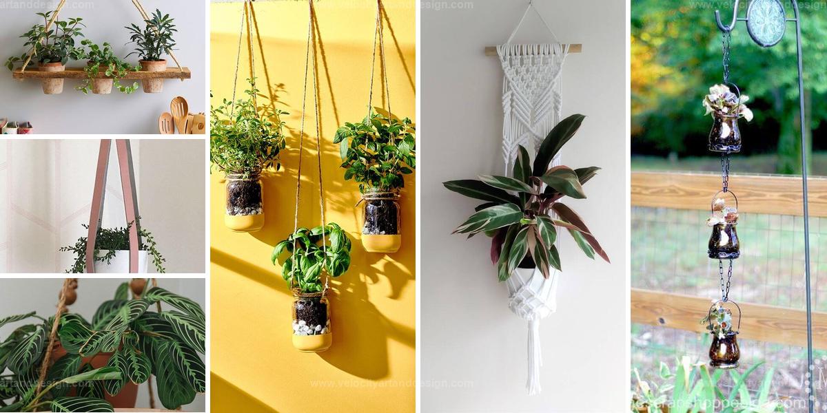 Top Stylish DIY Plant Hangers