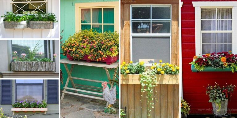 Best DIY Window Box Ideas