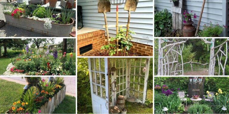 Best Rustic Garden Decor for Warmth