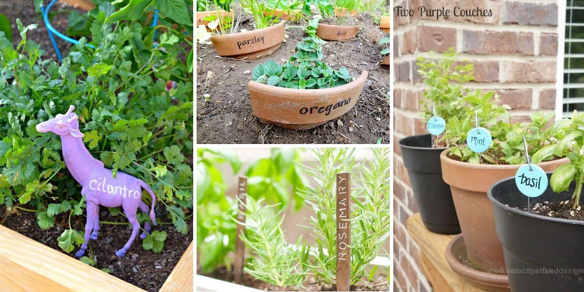 Best DIY Herb Marker Ideas