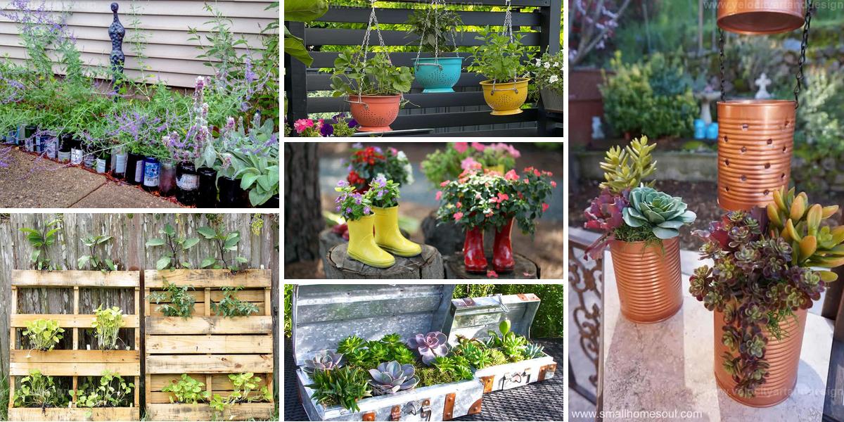 Best Upcycled Items for Garden