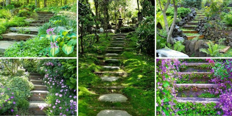 Top Courtyards with Stone Stairs