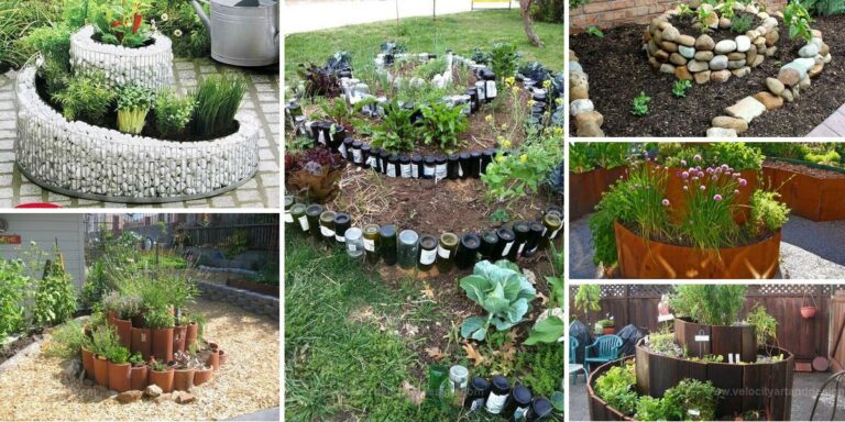 Best Spiral Garden Ideas