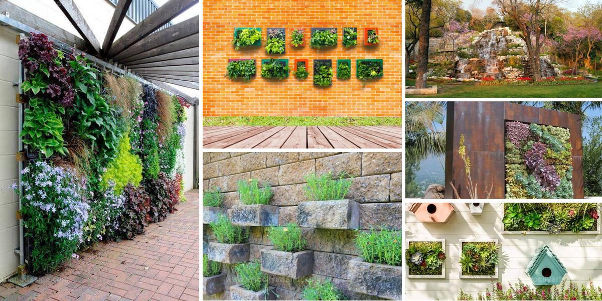 Top Outdoor Vertical Garden Ideas