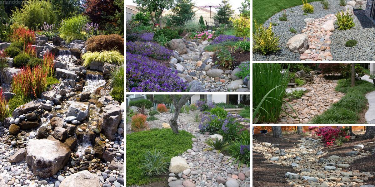 Top Ways to Design Striking Dry Riverbeds for a Unique Yard