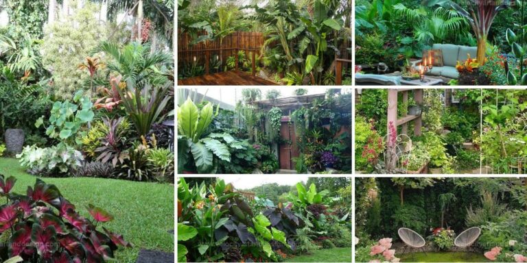 Best Tropical Garden Ideas