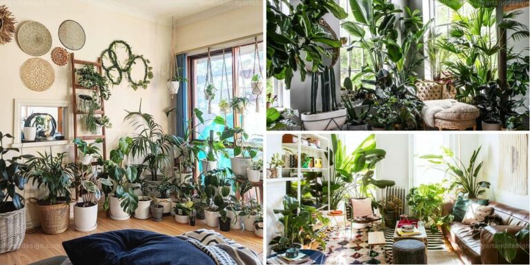 Top House Full Of Plants Ideas