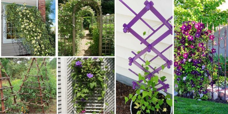 Top DIY Garden Support Ideas