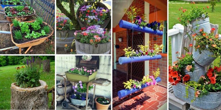 Best Recycled Garden Planter Ideas