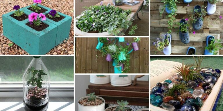 Top Planter Craft Ideas