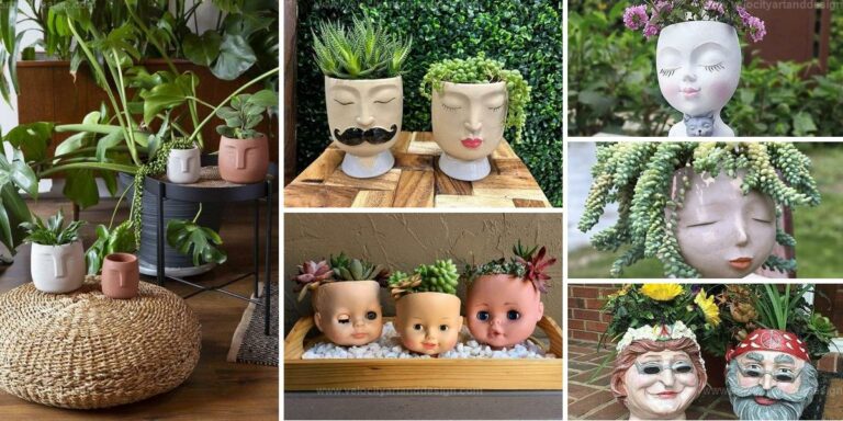 Top Fun Face Planters