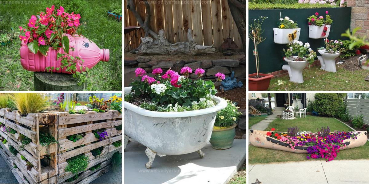 Best Container Gardening Ideas