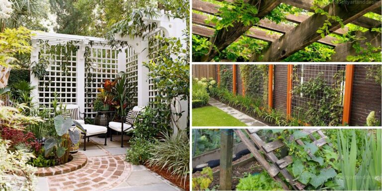 Top DIY Trellis Ideas