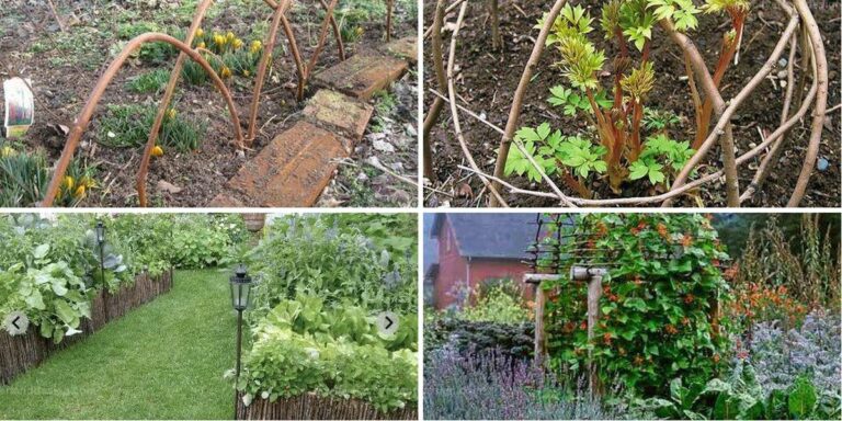 Top Garden Projects Using Twigs