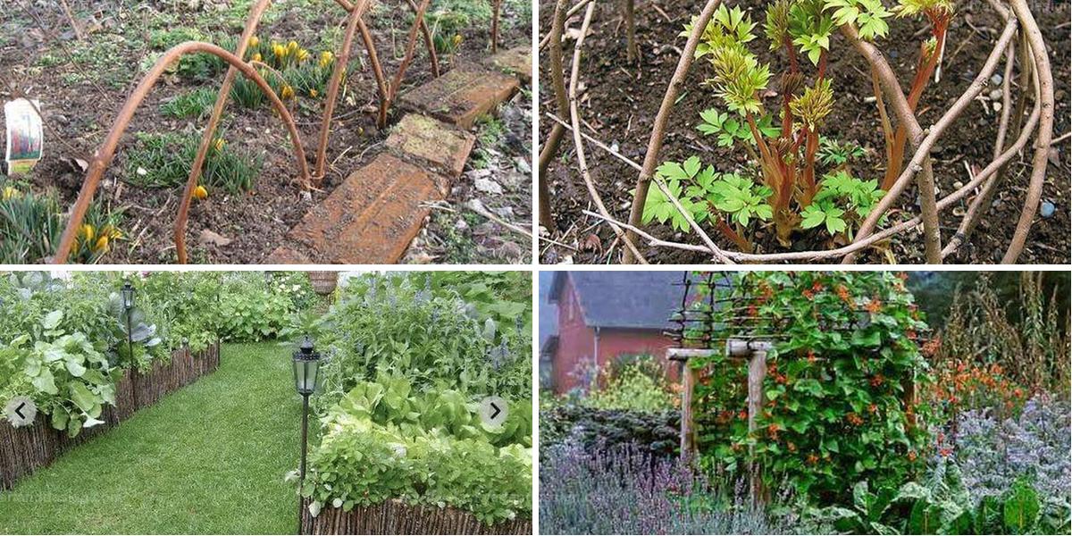 Top Garden Projects Using Twigs