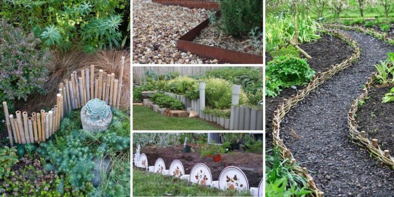 Best Garden Edging Ideas