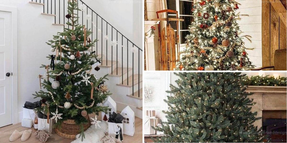 Steps to Make Christmas Tree Shine Bright