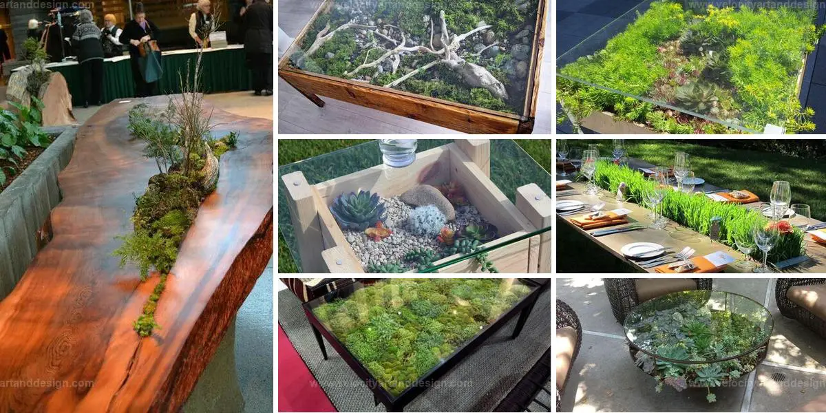 Best Plant Table Ideas for Indoor Gardens