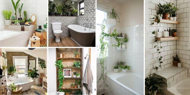 Top Bathroom Plant Shelf Ideas