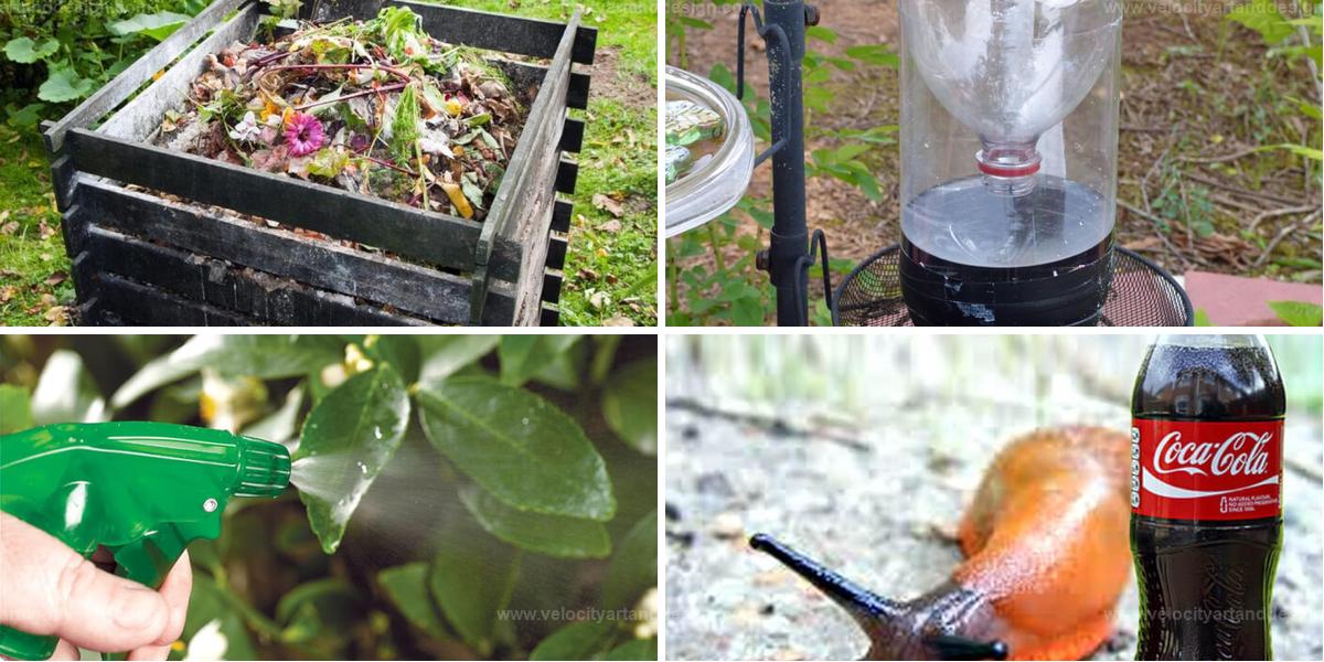 Best Ways Coca-Cola Can Benefit Your Garden