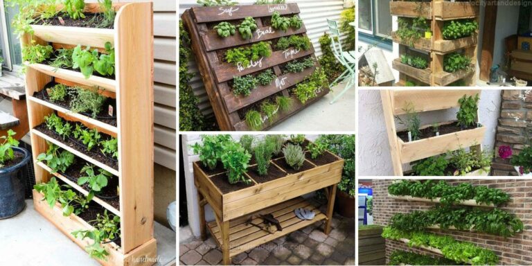 Best DIY Porch Herb Garden Ideas