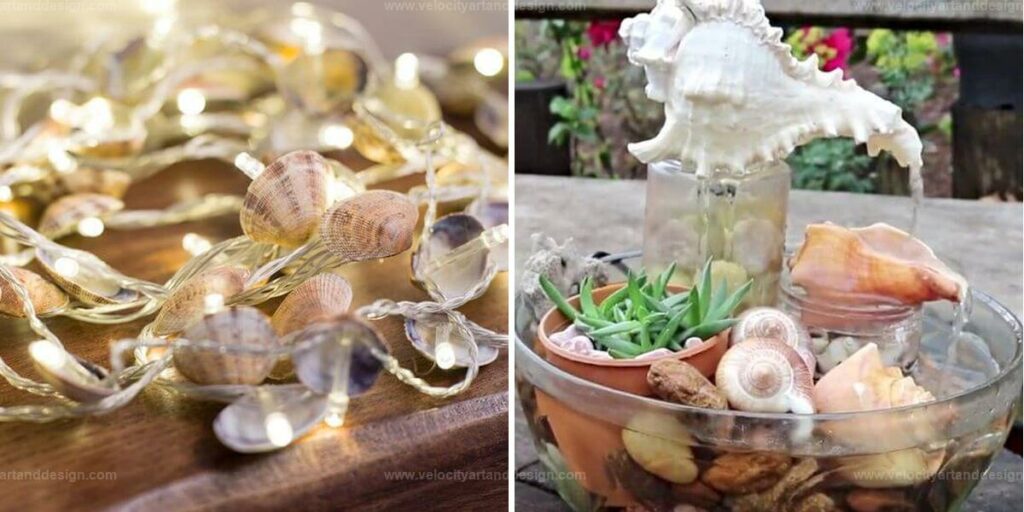 Best DIY Seashell Projects for Coastal Decor