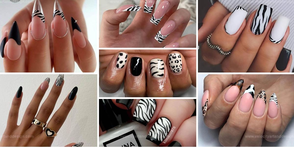 Top Zebra Print Nail Designs