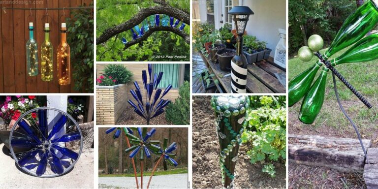 Top Bottle Garden Focal Points