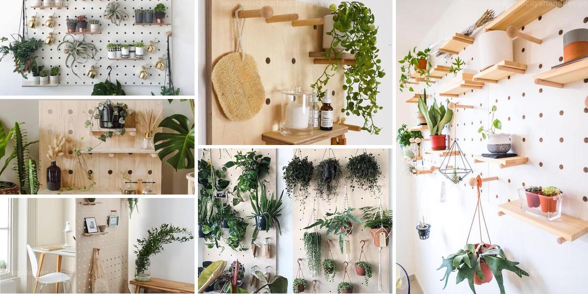 Best Pegboard Uses for Indoor Plant