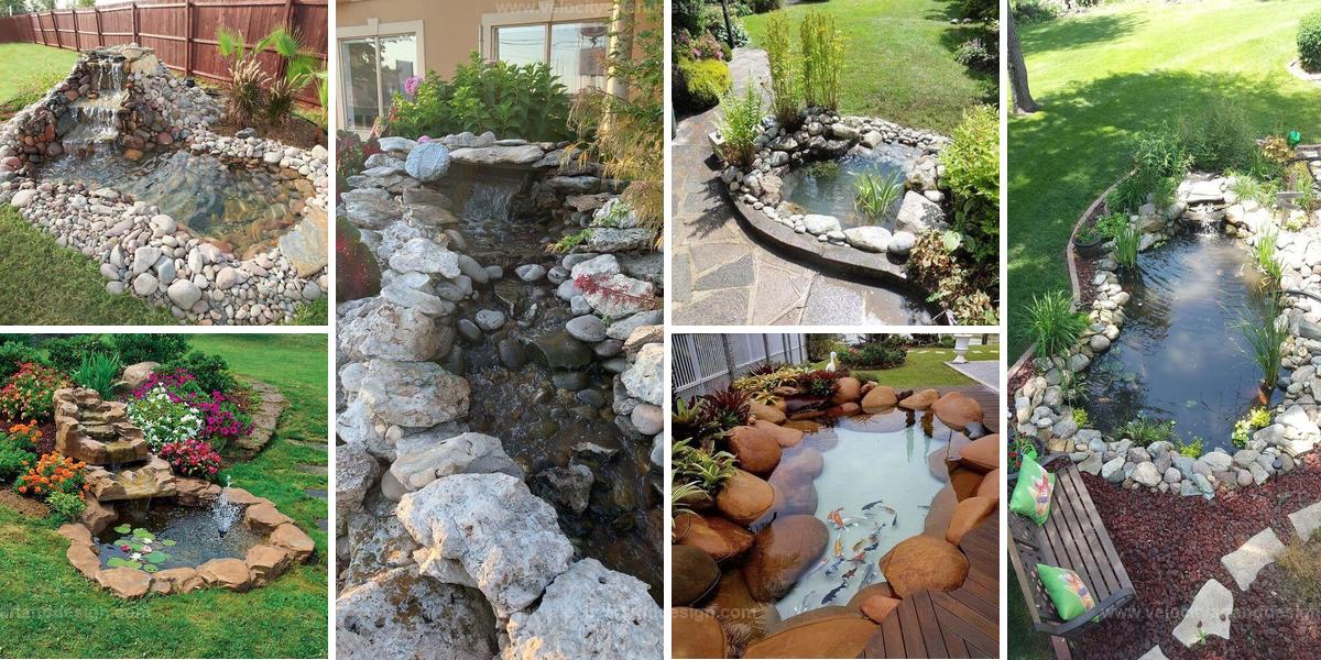 Top Water Garden Ideas